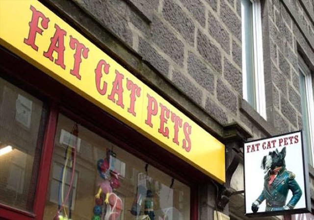Fat Cat Pets Aberdeen’s #1 Raw Food Shop 